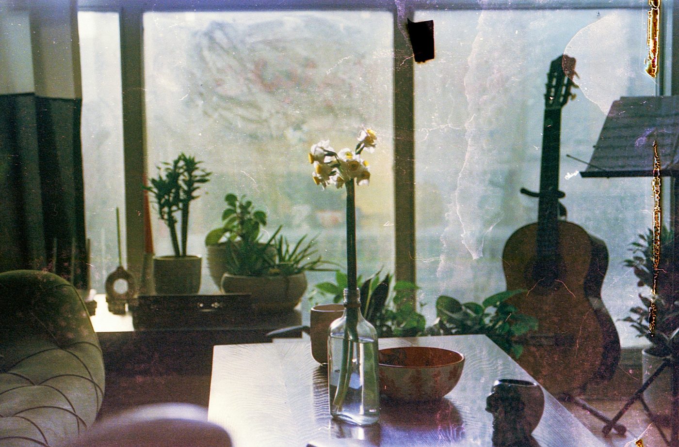 Interior with plants, flowers, guitar and soft window light, shot on film